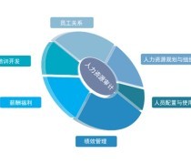 企業(yè)管理咨詢與科技賦能 全方位助力企業(yè)發(fā)展